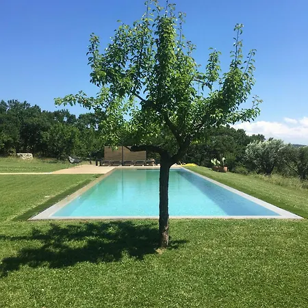 Ferienhaus Design Among Olive Groves In Valle D'itria Ostuni