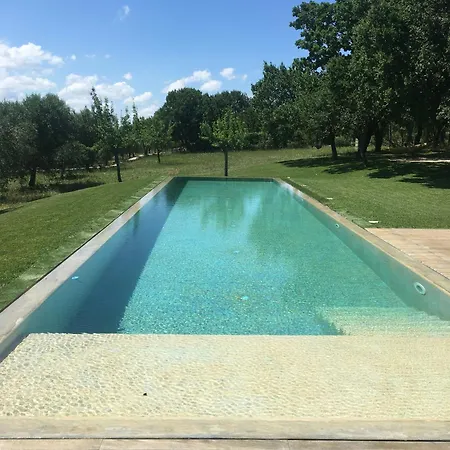 Design Among Olive Groves In Valle D'itria