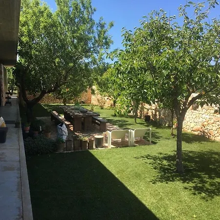 Design Among Olive Groves In Valle D'itria * Ostuni
