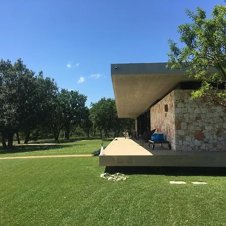 Design Among Olive Groves In Valle D'itria *